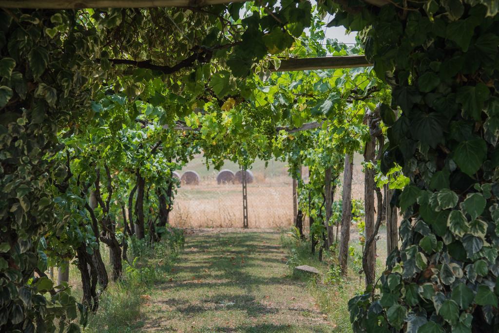Villa Degli Oleandri Bnb Rome Exterior photo